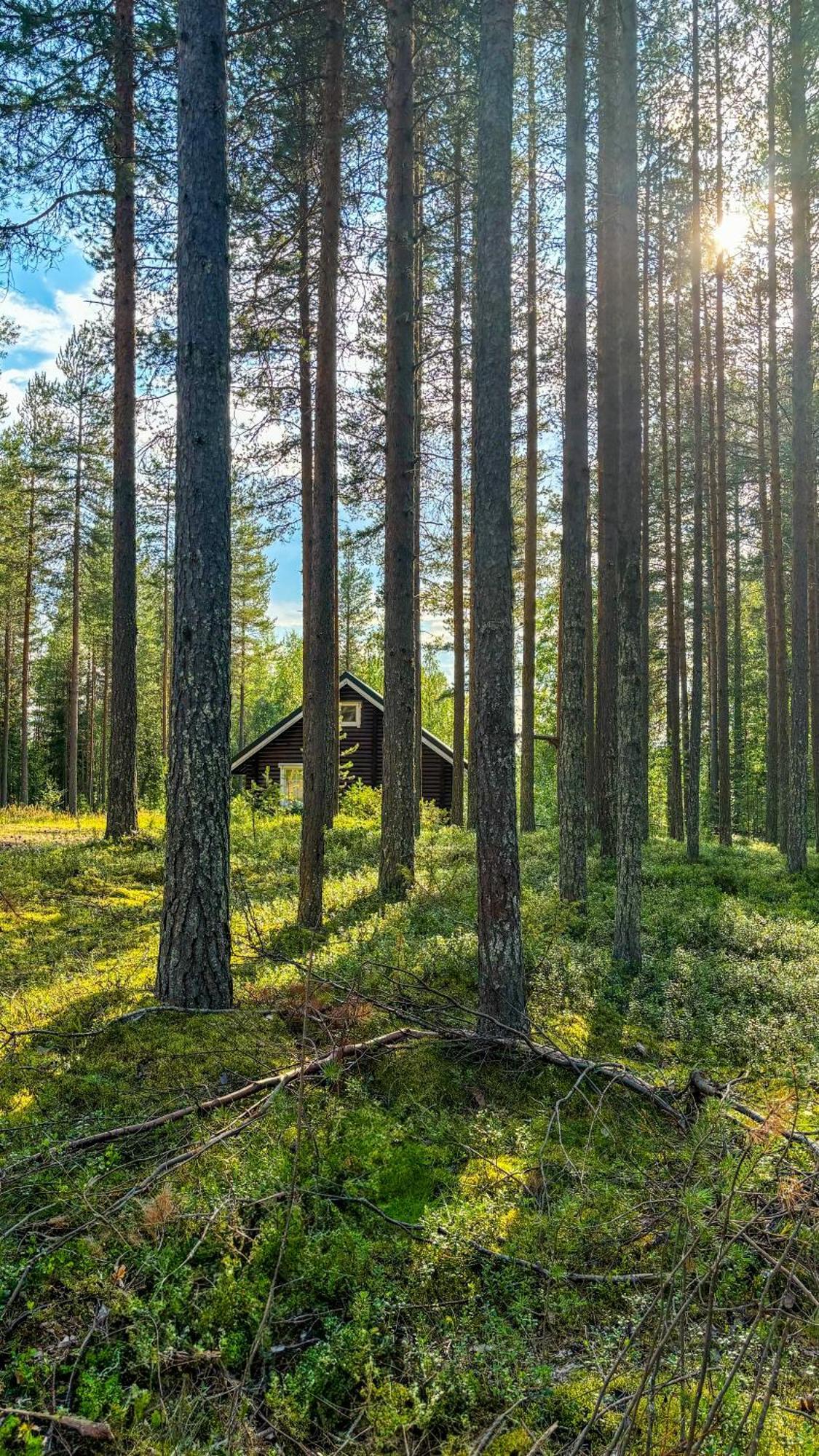 Sky Lodging ~ Sleeping Under The Stars 罗瓦涅米 外观 照片