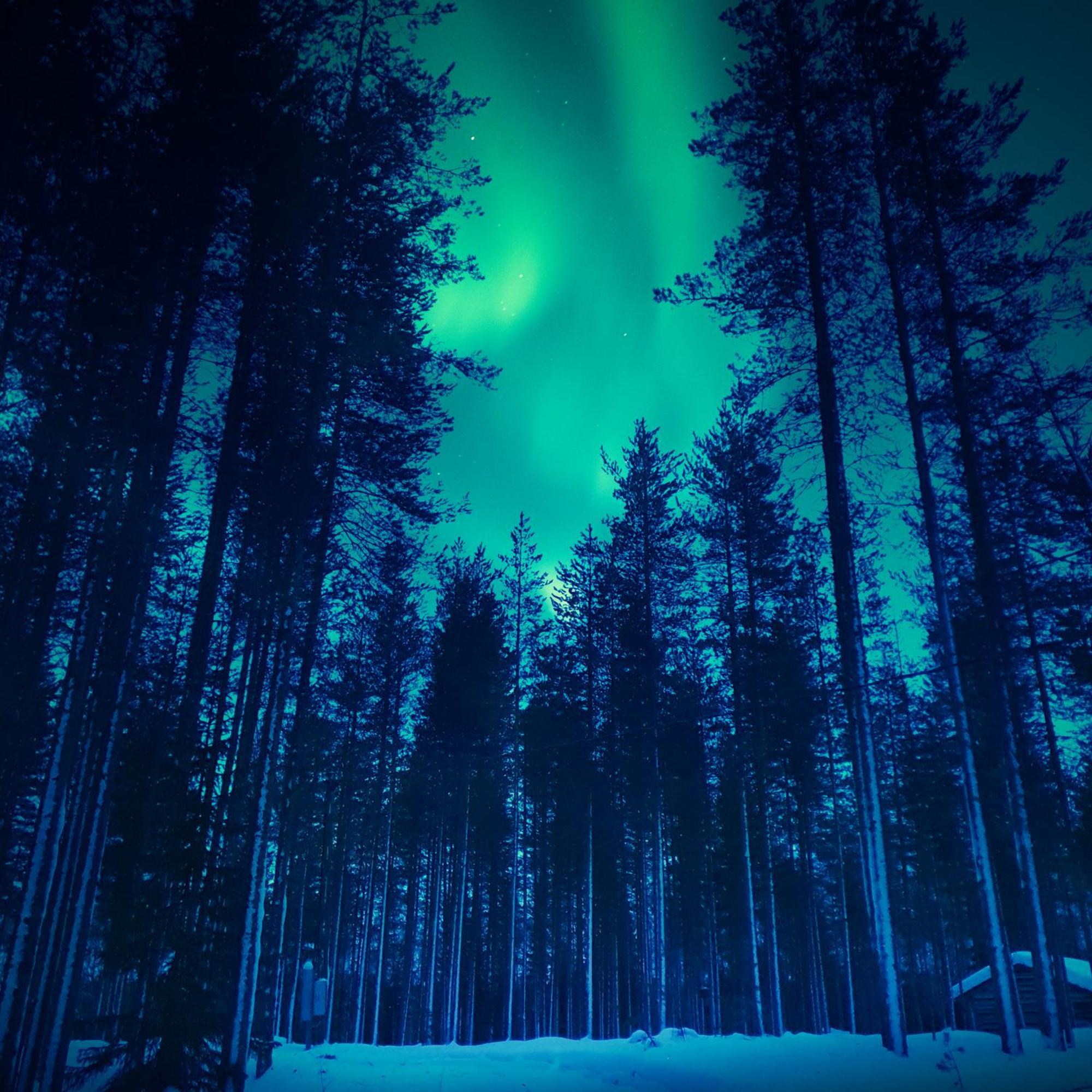 Sky Lodging ~ Sleeping Under The Stars 罗瓦涅米 外观 照片